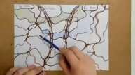 Жизнь Как Чудо - день 54 - Цельная - Нейрографика