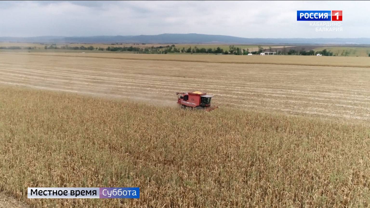 В КБР выросло производство кукурузного крахмала и комбикормов