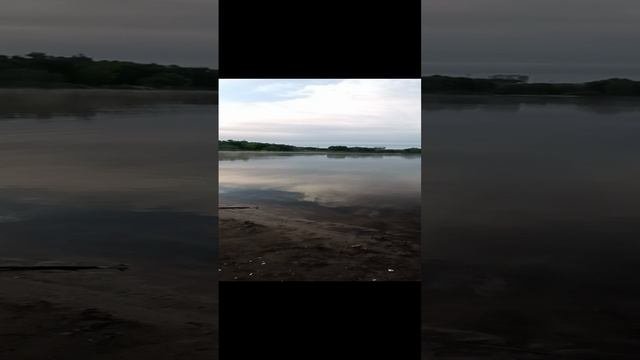 красота
