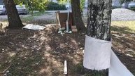 Постройки из дерева моих друзей