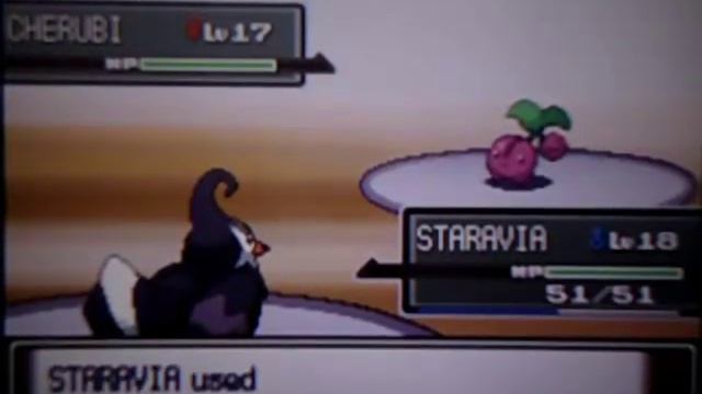 Pokémon Patinum Walkthrough Part 12 - Gym Leader Gardenia
