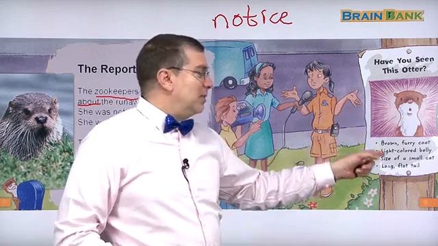 Learn English | Brain Bank Grade 1 Social Studies | 13 The Runaway Otter Part 2/3 | Brian Stuart