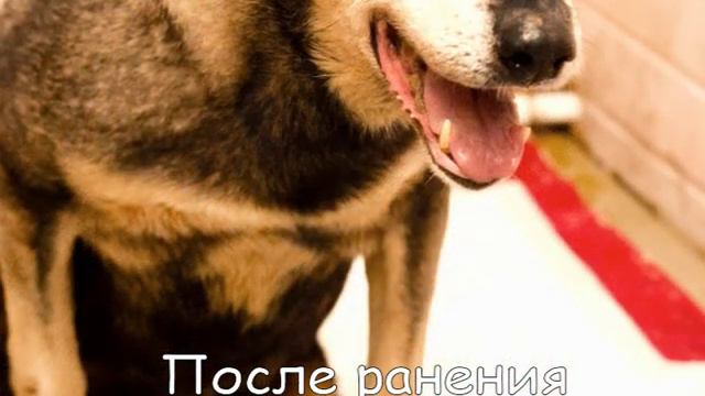 Ненужное наследство.
