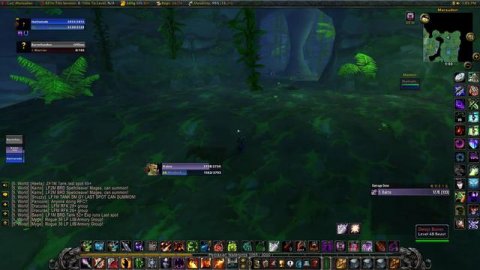 Wow Classic Mara run Warlock