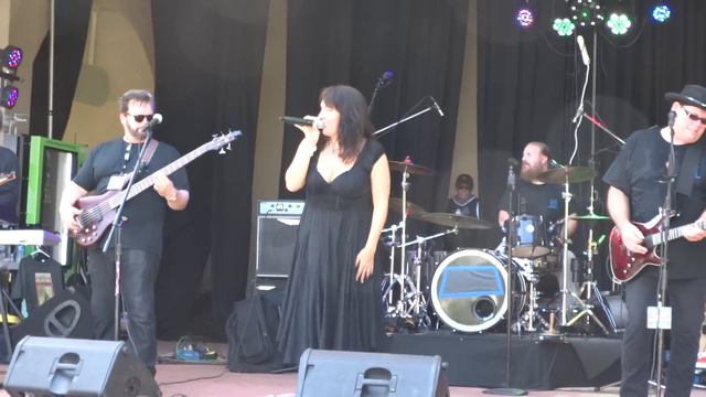 Taylor King Band @ Palmetto Bay Food & Music Festival- 3-26-2016- Middle Of The Road (Cover)