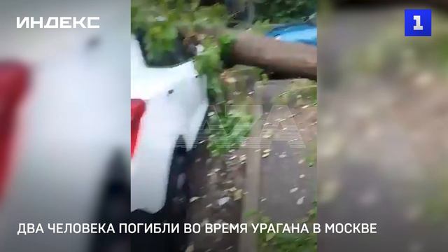 Два человека погибли во время урагана в Москве