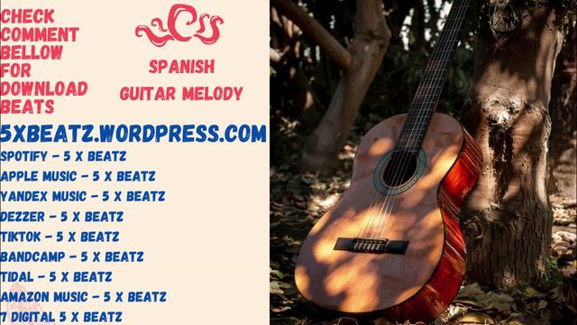 Spanish Guitar_Play By 5 x Beatz.mp4