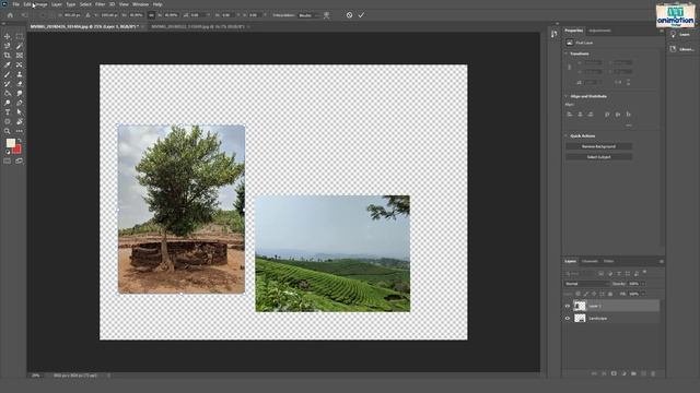 Learn Adobe Photoshop Lesson 002 - Move Tool