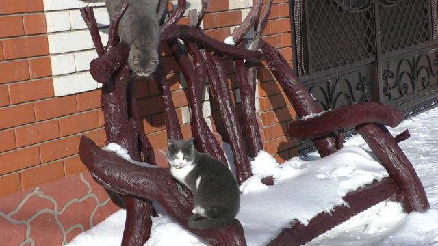 НЕ ПОНЯЛИ ДРУГ ДРУГА.Видео Татьяны Крестьянсковой