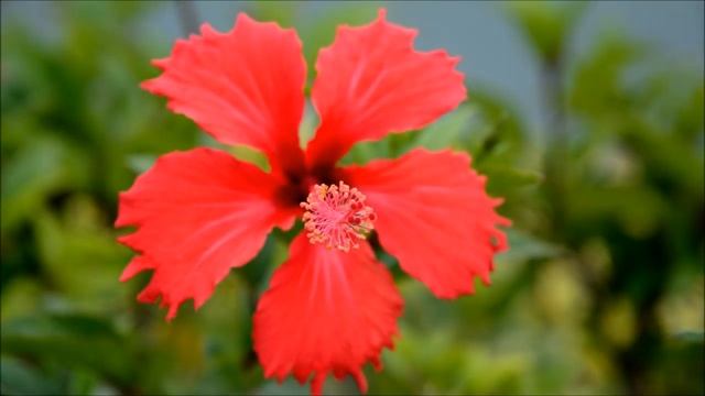 Nikon D5200 Sample Photos