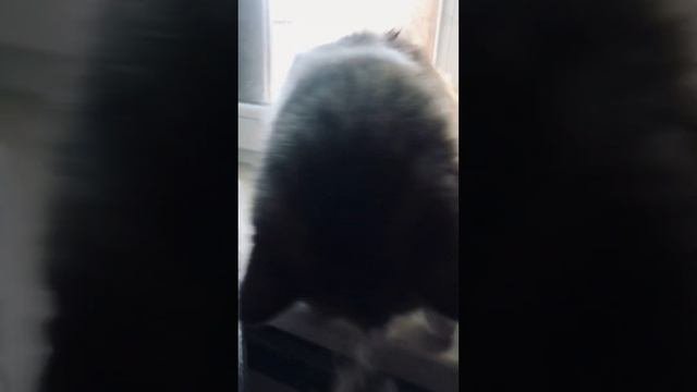 Спящая красавица в крепком сне ?