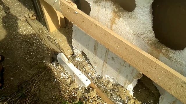 Миф о том что крысы и мыши не жрут утеплитель и пенопласт
