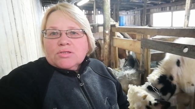 О ХОЛОДНОМ СОДЕРЖАНИИ,ДЕРЕВЕНСКИХ КАНАЛАХ И СПОНСОРСТВЕ!