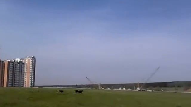 Керан и Луджин в полях
