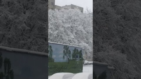 Эстония, Таллинн. 23 апреля 2024 куча снега.