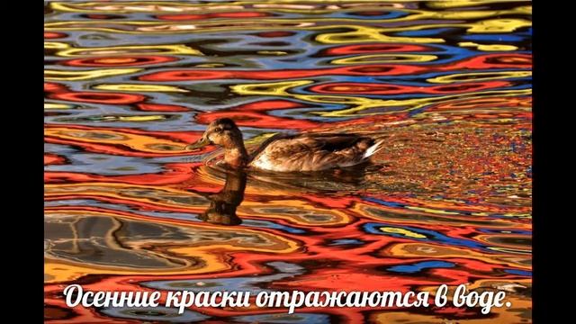 17 нерукотворных шедевров, запечатленные в натуральных красках ,не тронутых 
