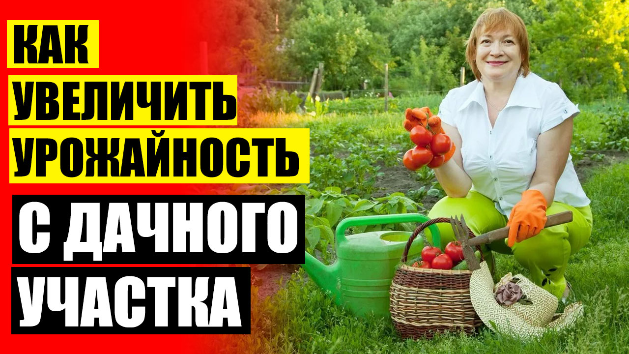 Биоудобрение BioGrow купить в Украине 💯 Удобрение для цветов названия