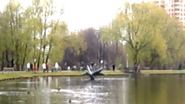Городские зарисовки. Осень 2010. В Воронцовском парке.