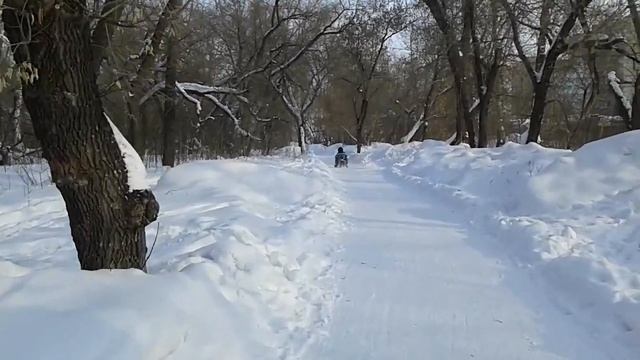 мото-снегокат MARLIN тандем