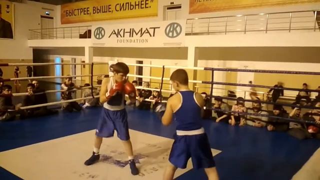 Сайхан ярмолатов лев Автуры