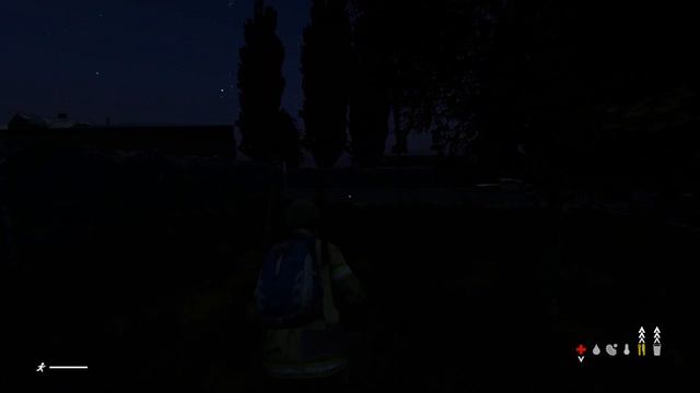 Стоит ли покупать DayZ Standalone?