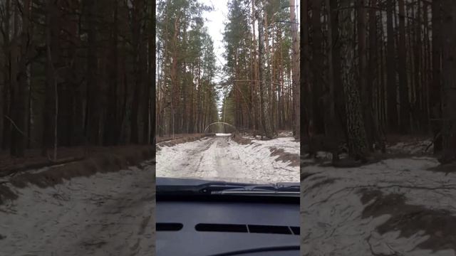 Начало апреля 24 год