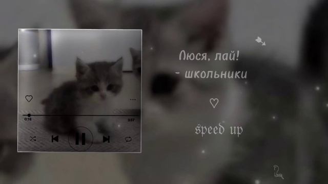 •люся, лай! - школьники [speed?up] #speed #slowed #рекомендации