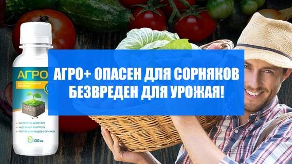 СРЕДСТВА ОТ СОРНЯКОВ В ОГОРОДЕ ОТЗЫВЫ ☑ КАК БОРОТЬСЯ СО СНЫТЬЮ НА ДАЧЕ ✔