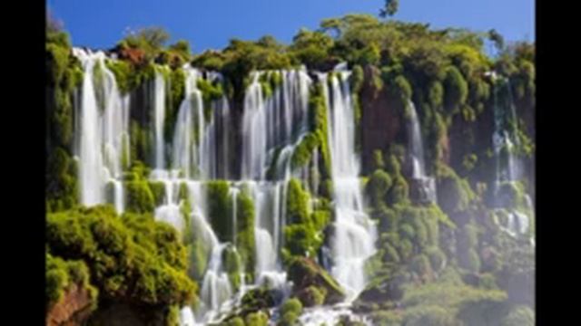 Шум водопада звук птиц  мелодия для релакса