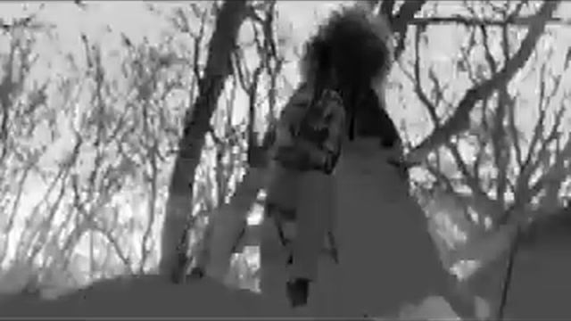 Ween - Buenos Tardes Amigo