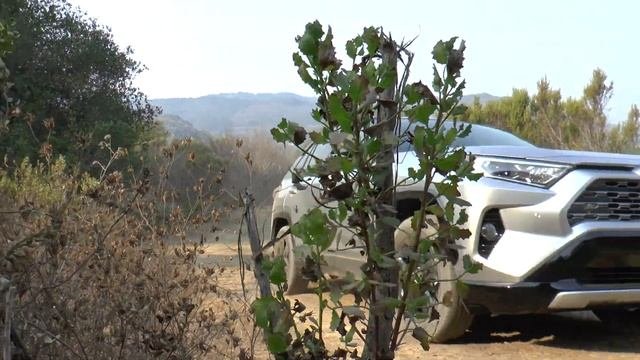 Why It's Still Good - 2021 Toyota RAV4 Hybrid XSE AWD Review