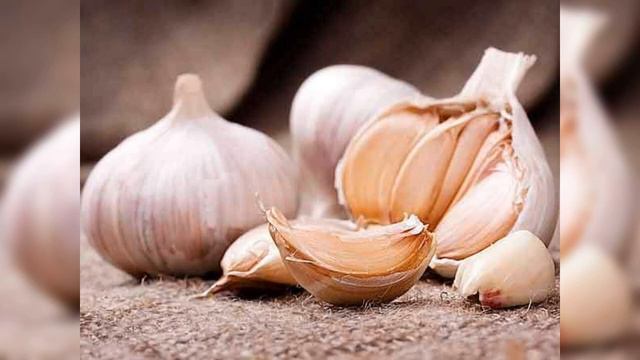 பூண்டு, allium sativum, லாகனா, உள்ளி, வெல் வெங்காயம், பெல்லுள்ளி, வீட்டு மருத்துவம்