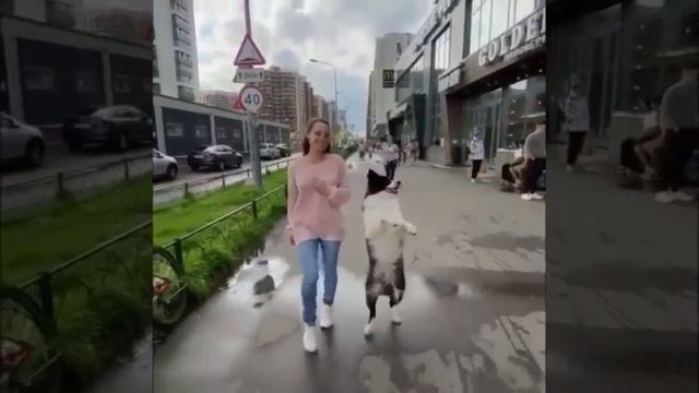 На прогулке
