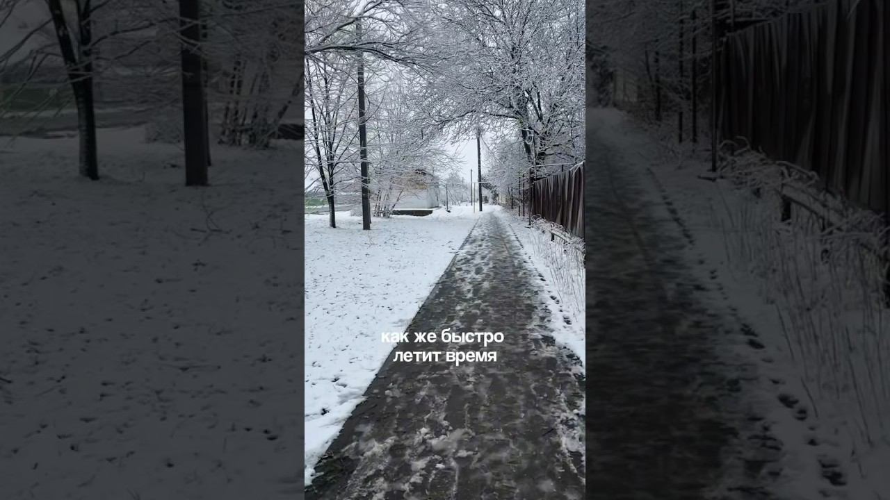 Вот и подходит конец #rap #егэ #биология #studyvlog #химия #школа #recommandation #химбио #hiphop