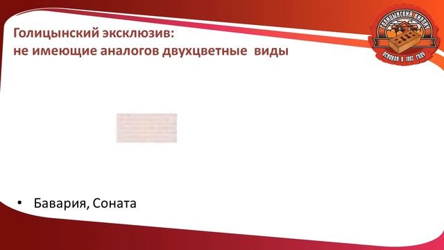 Презентация new