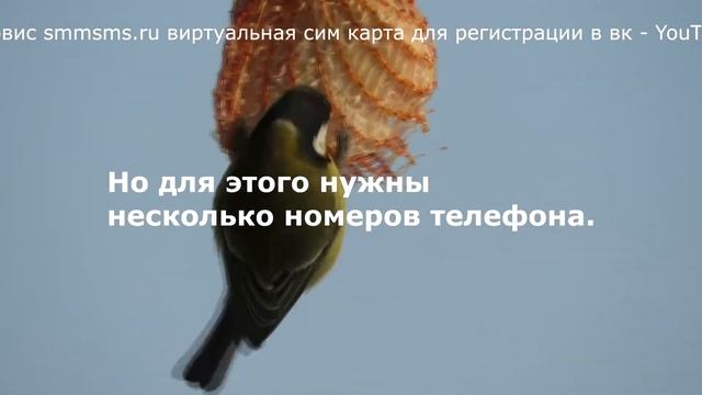 Сервис smmsms.ru виртуальная сим карта для регистрации в вк - YouTube