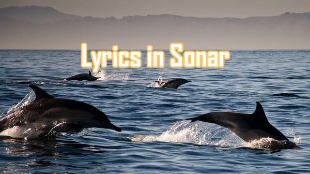 TeknoAXE's Royalty Free Music - Lyrics in Sonar -- DubstepChillstep -- Royalty Free Music
