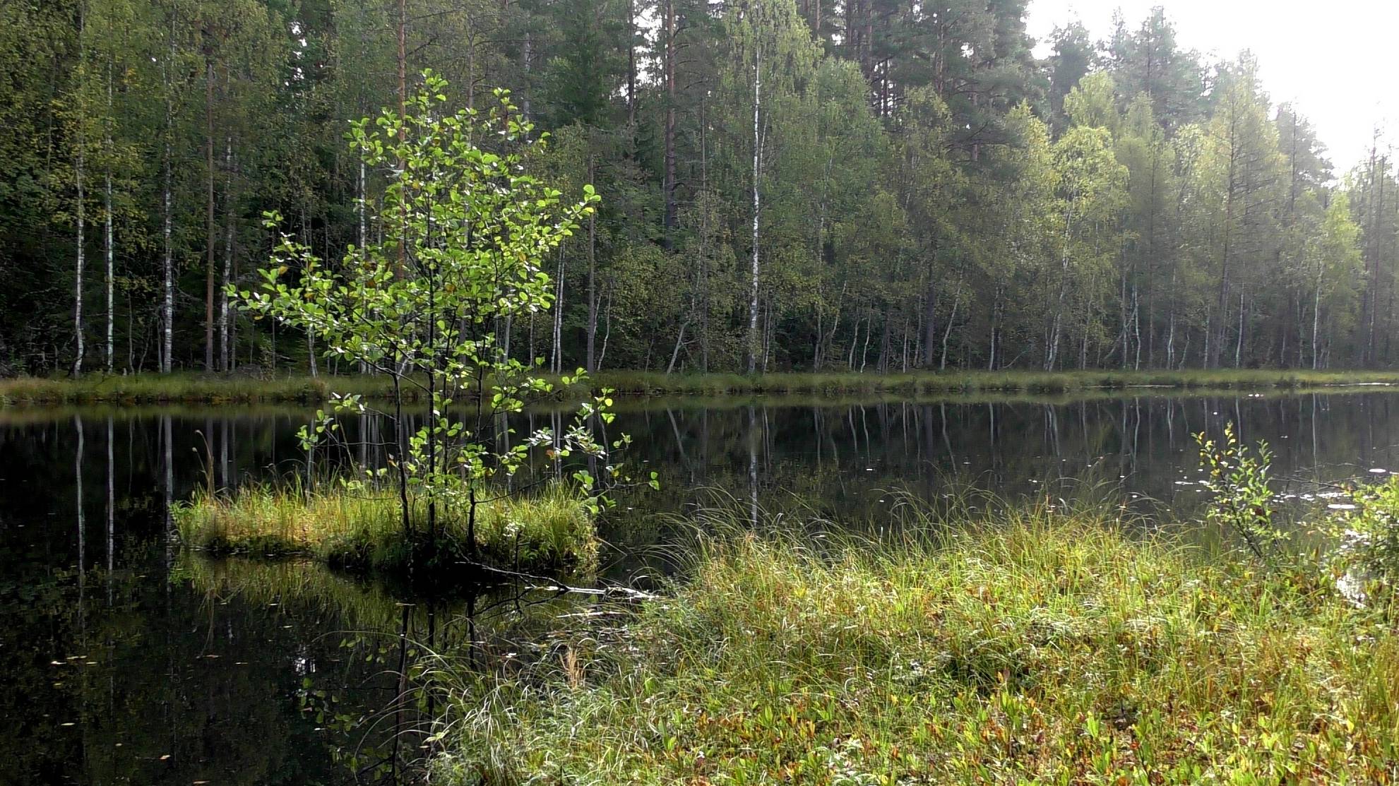 По берегам озёр, без лодки, без мотора