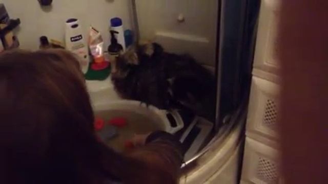Принимаем душ. Дом Енота