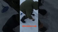Ловим налима со льда