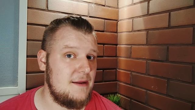 Honor 8 - kamera
