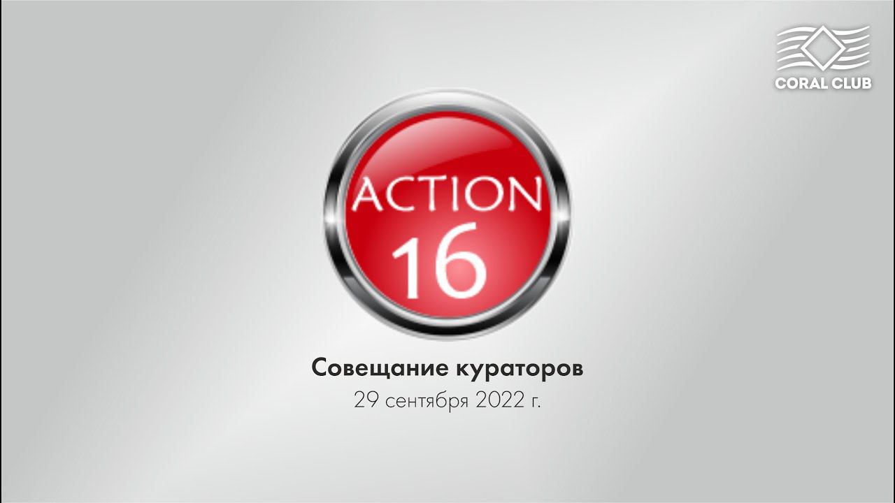 Action-16. Совещание кураторов до старта.