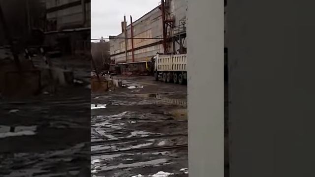 Китаец is Француз