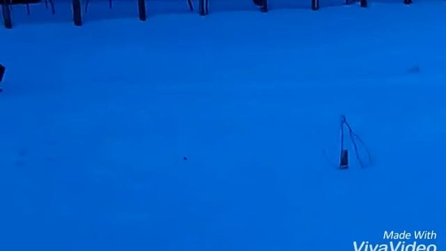Снежный человек