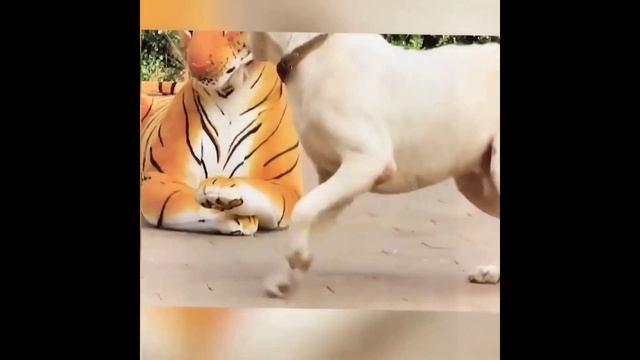 РЖАЛИ пол-дня. смотри - НЕ ПОЖАЛЕЕШЬ.mp4