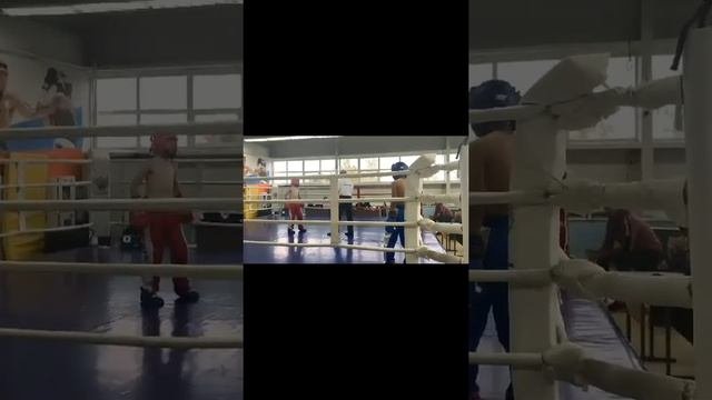 кикбоксинг соревнование