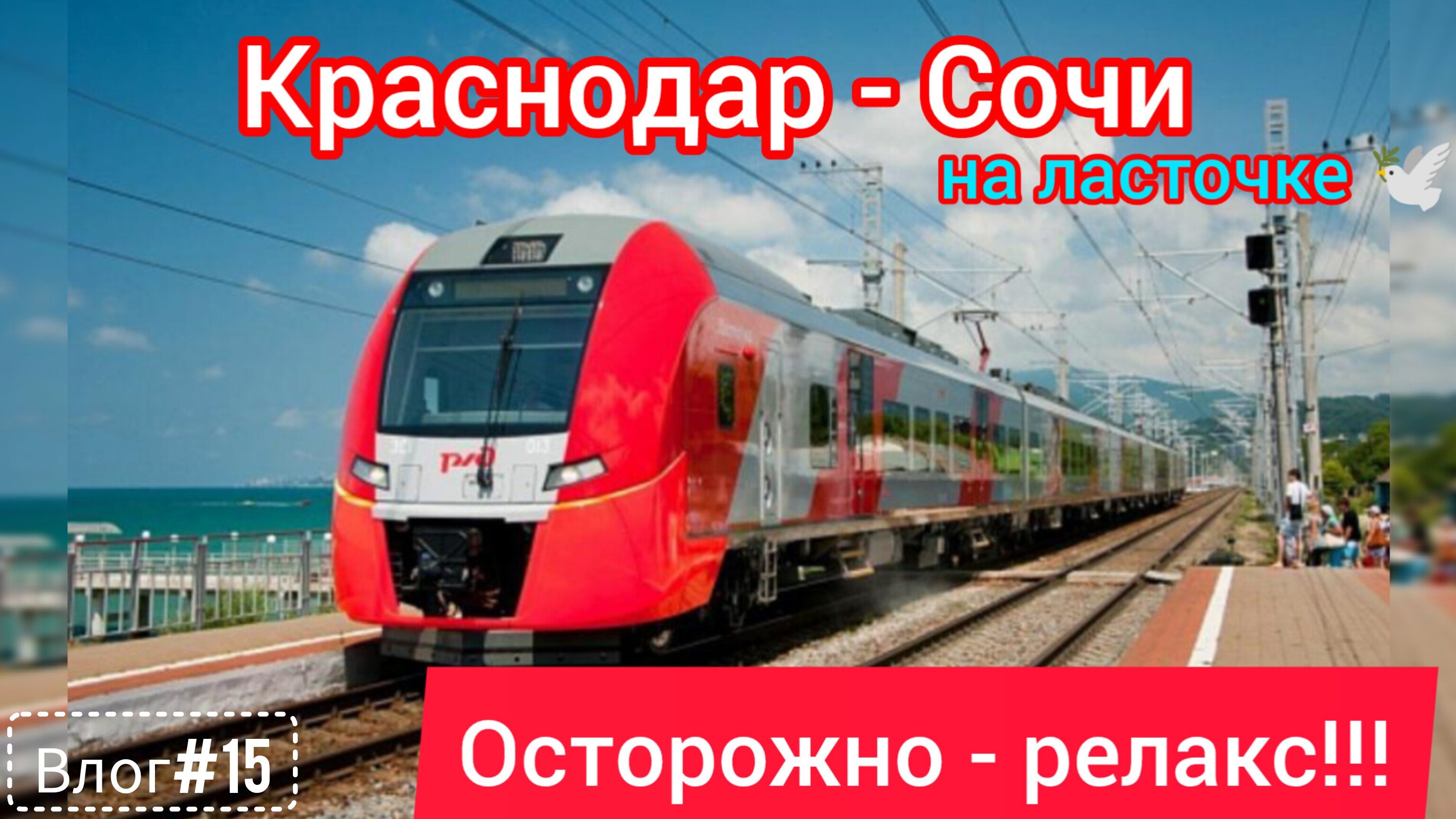 Влог #15. Поезд на юг 2024. Еду на ласточке, любуюсь природой.