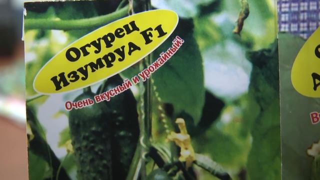 Дачные советы Галины Старосельцевой Январь 20-2022