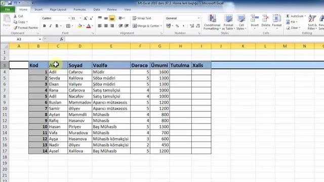 MS Excel 2010 - Home lent başlığı