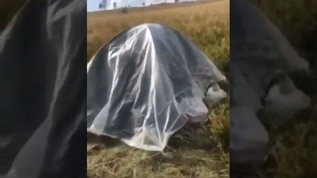 Лама три дня ночует и медитирует у ступы в Бурятии